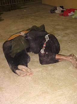 ag10.jpg